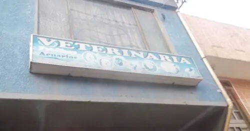 VETERINARIA PET SHOP ACUARIOS VETERINARIA PET SHOP ACUARIOS